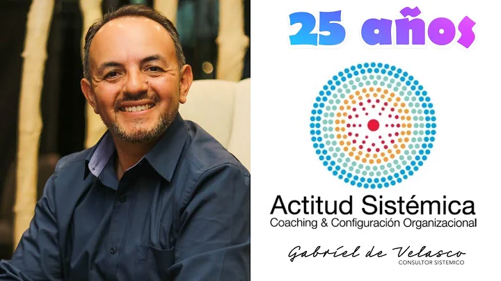 Gabriel de Velasco consultor sistmico