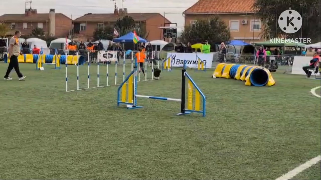 campeonato de España Agility 2024 ( Ada)