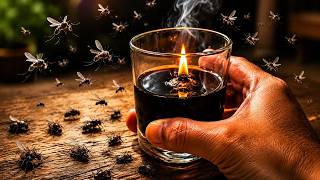 Acabe com MOSCAS, PERNILONGOS e MOSQUITOS Com Essa VELA INFINITA Muito Simples de Fazer!