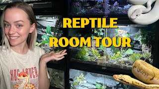Reptile Room Tour! (August 2023)