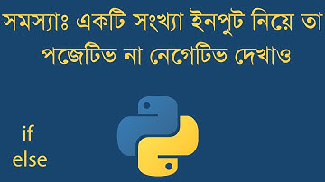Python problem solve 1.4  positive Number_ একটি সংখ্যা ইনপুট নিয়ে তা পজেটিভ না নেগেটিভ দেখাও