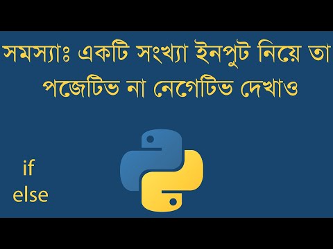 Python problem solve 1.4  positive Number_ একটি সংখ্যা ইনপুট নিয়ে তা পজেটিভ না নেগেটিভ দেখাও