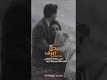 بدي أعرف شو مبكيكي حالات واتس اب وائل كفوري mp3