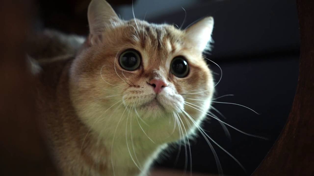 That's what happens to me on Friday 13th!