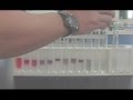 【ASNR プリント黒板実験映像76】虹色をつくろう　Part2. ブルーベリー色素のｐＨ指示薬