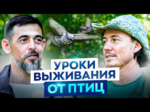 Люди мрут как