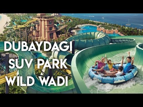 Dubaydagi eng zo'r suv park / Wild Wadi Waterpark
