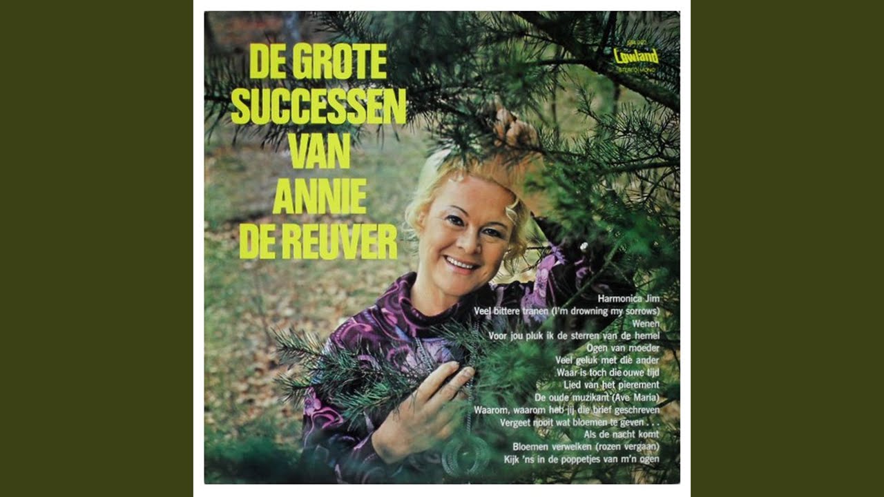 De Oude Muzikant YouTube De Oude Muzikant YouTube