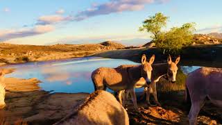 A slice of heaven on earth at DL Sanctuary