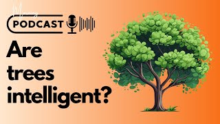 Are trees intelligent? - Daily English Podcast