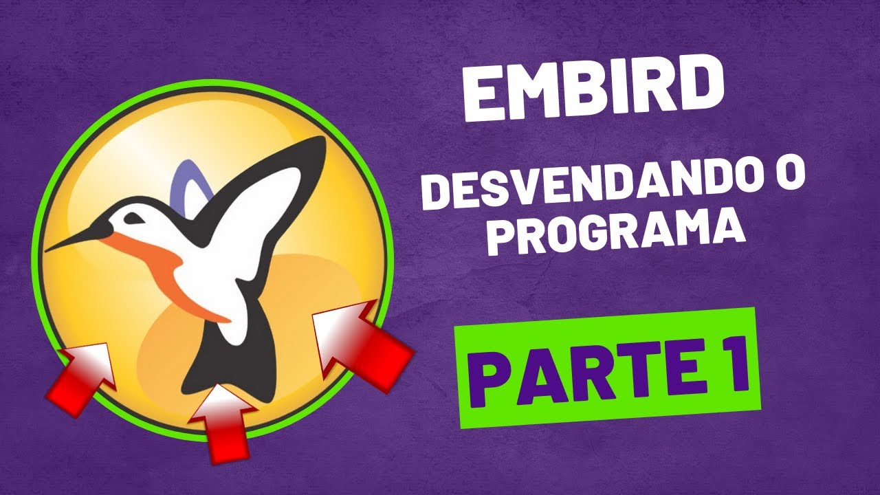 EMBIRD PARA INICIANTES - CONHECENDO O PROGRAMA E COMO FAZER NOMES - PARTE 1