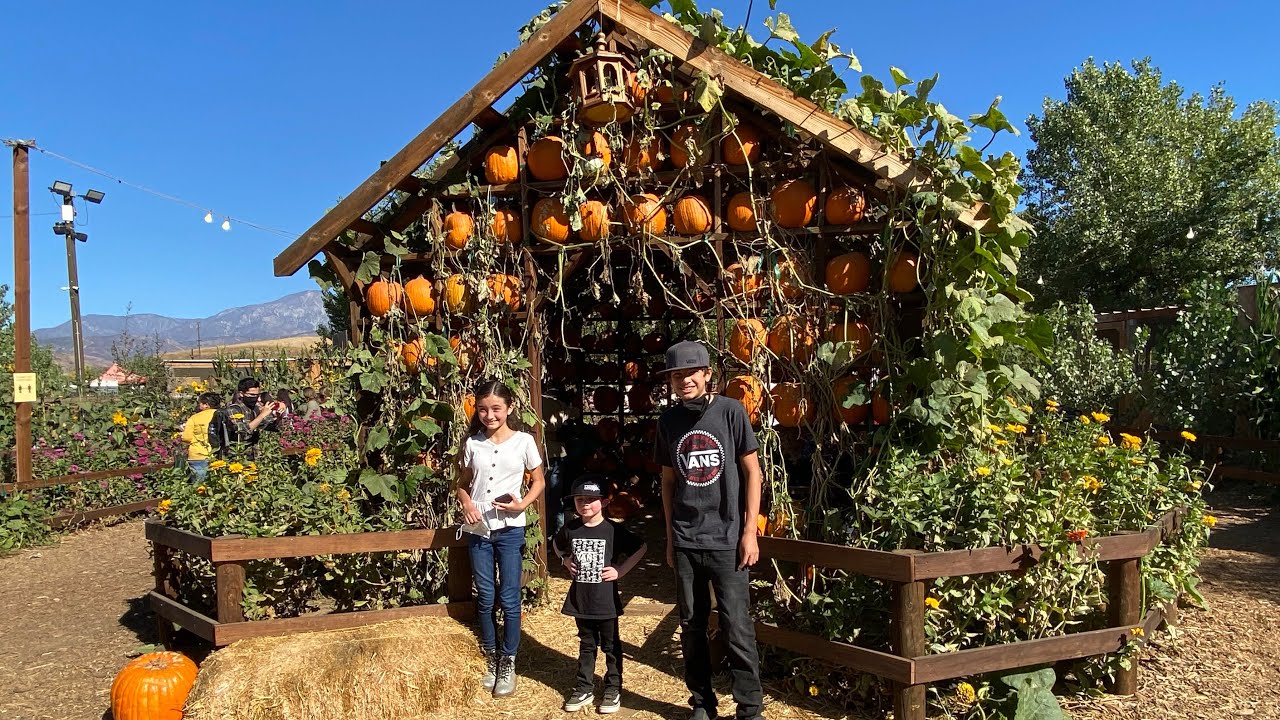 Oak Canyon Pumpkin Patch