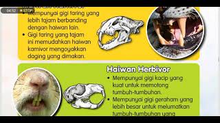 Tahun 3/ Sains Bil 15/ Bab 4: Kegigian Haiwan/ Buku Teks KSSR Semakan/ ms 64-66