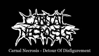 Carnal Necrosis - Detour Of Disfigurement (lyrics in description)