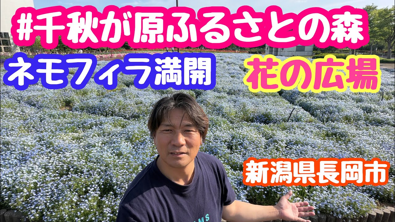 May 25, 2026: Senshu-ga-hara Furusato Forest Flower Plaza