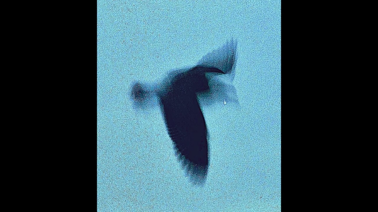 [FREE] Lil Tecca X Melodic Trap Type Beat | 