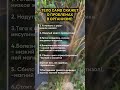 #obuna_bolishni_unutmang #livestream #liveshorts #pubgmobile #tiktok #rassiya_yangiliklar #kunuz