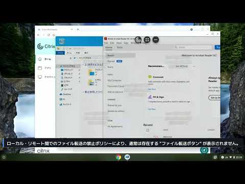 Citrix with Chrome OS : Citrix Workspace のための Chrome ポリシー②（ユーザー編）