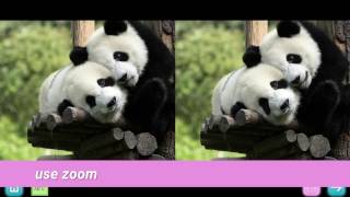Pinky - Find differences by CJF inc game studio screenshot 1