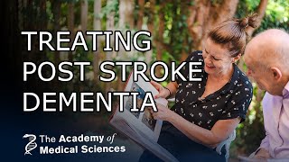 Can we treat post stroke dementia? I Professor Raj N Kalaria FMedSci on modifying risk factors