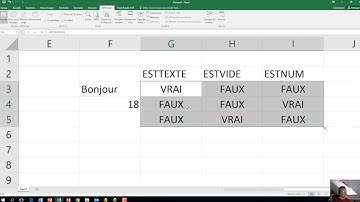 25 - Excel - Les fonctions EstVide, EstTexte et EstNum