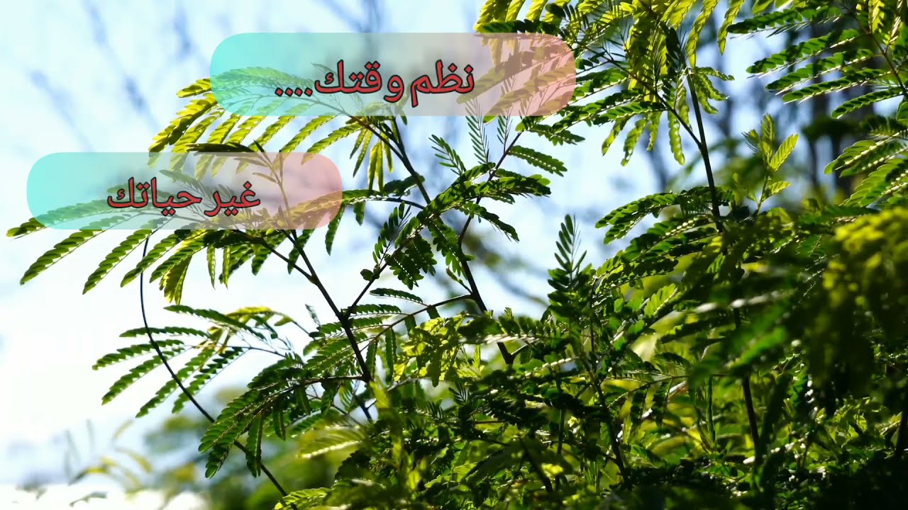 غير حياتك و اغتنم خمسًا قبل خمس  _ الدكتور محمد راتب النابلسي