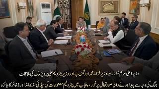 Cm Maryam Nawaz Meets Finance Minister Muhammad Aurangzeb - Punjab Govt Reviews Fuel Demand