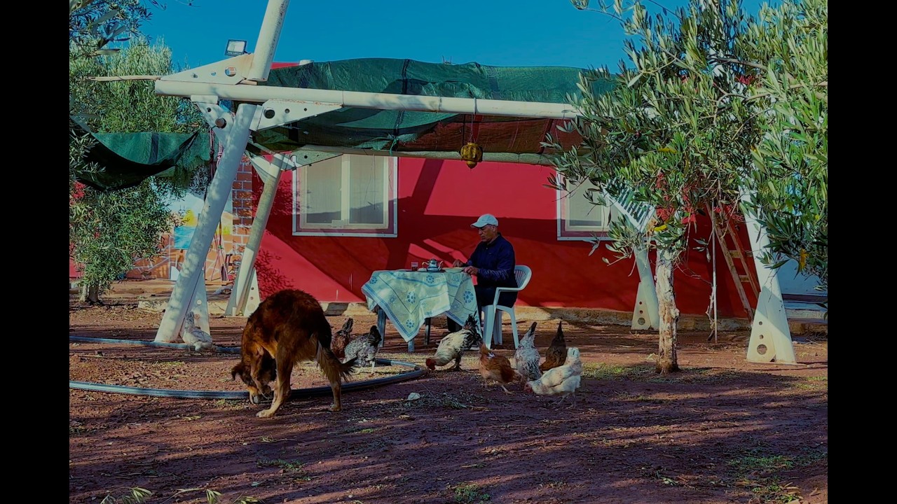 أجي نعرّفك على أسرار العيش مرتاح في البادية