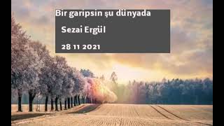 Bir Garipsin Şu Dünyada İlahisi (Dün - Ya) (Dün Ve Yarın) Seslendiren : Sezai Ergül Resimi