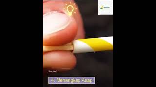 8 Tips Eksperimen Sains yang mudah dan Mengagumkan - EDU PENSI