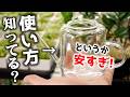 買い占められる前に…!ありえない価格の園芸グッズを見つけてしまいました【観葉植物・テラリウム】