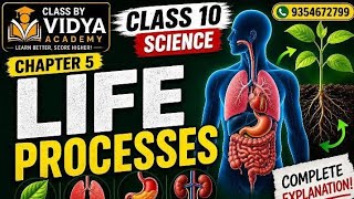 ch 5 life process class 10th | science|
