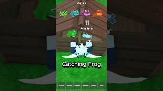 Catching Frog 99 Nights In The Forest