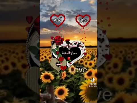صباح الخير والعنبر وريح العود