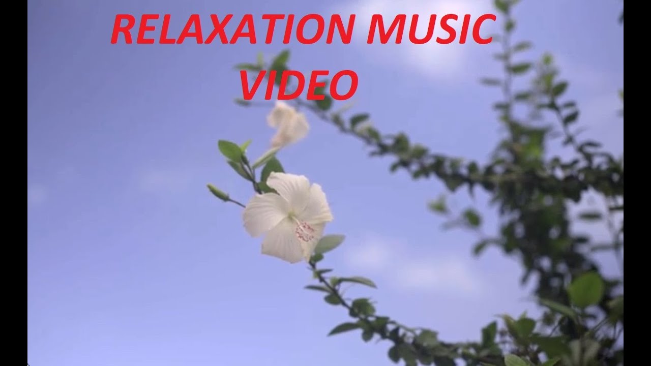 Relaxation Music Video | Relaxing Music Video For Stress Relief For Ten Minutes Spa Deep Sleep