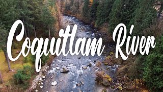 BC Salmon Run | Cinematic