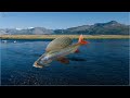 Русская Рыбалка Installsoft Edition 3.7.6  Западная Монголия Квест Хариус 260 грамм