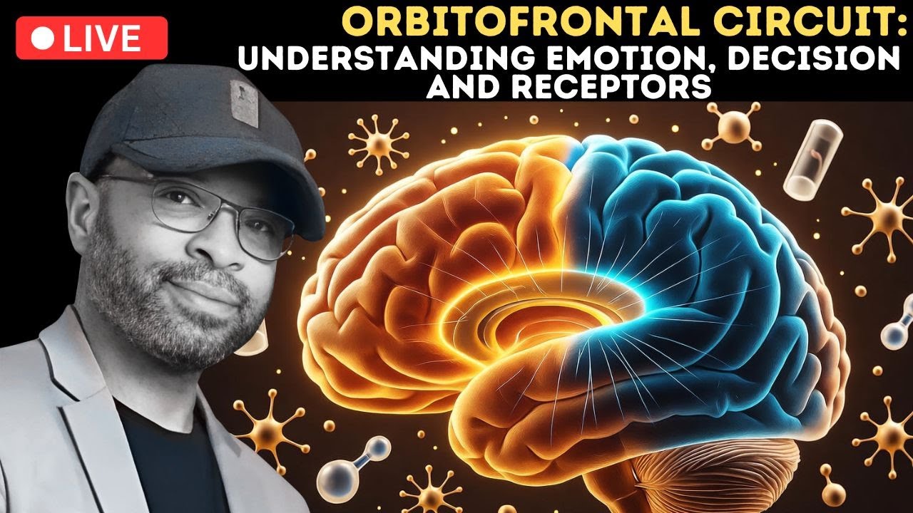 Orbitofrontal Circuit: Understanding Emotion, Decision, and Receptors