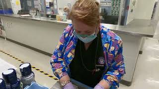 Physician Surveyor National Commission on Correctional Health Care (NCCHC)