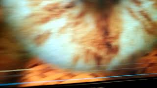 Asus 1050Ti - Furmark Stress Test