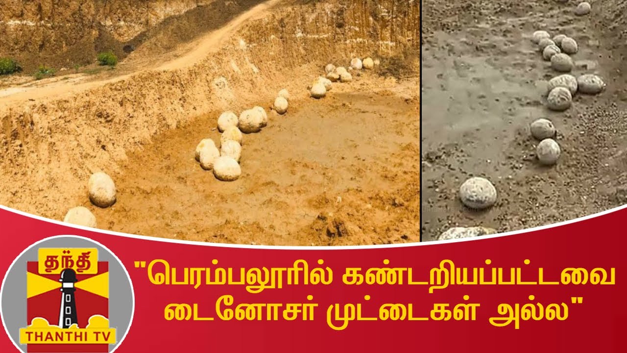 "பெரம்பலூரில் கண்டறியப்பட்டவை டைனோசர் முட்டைகள் அல்ல"  | Dinosaur | Perambalur