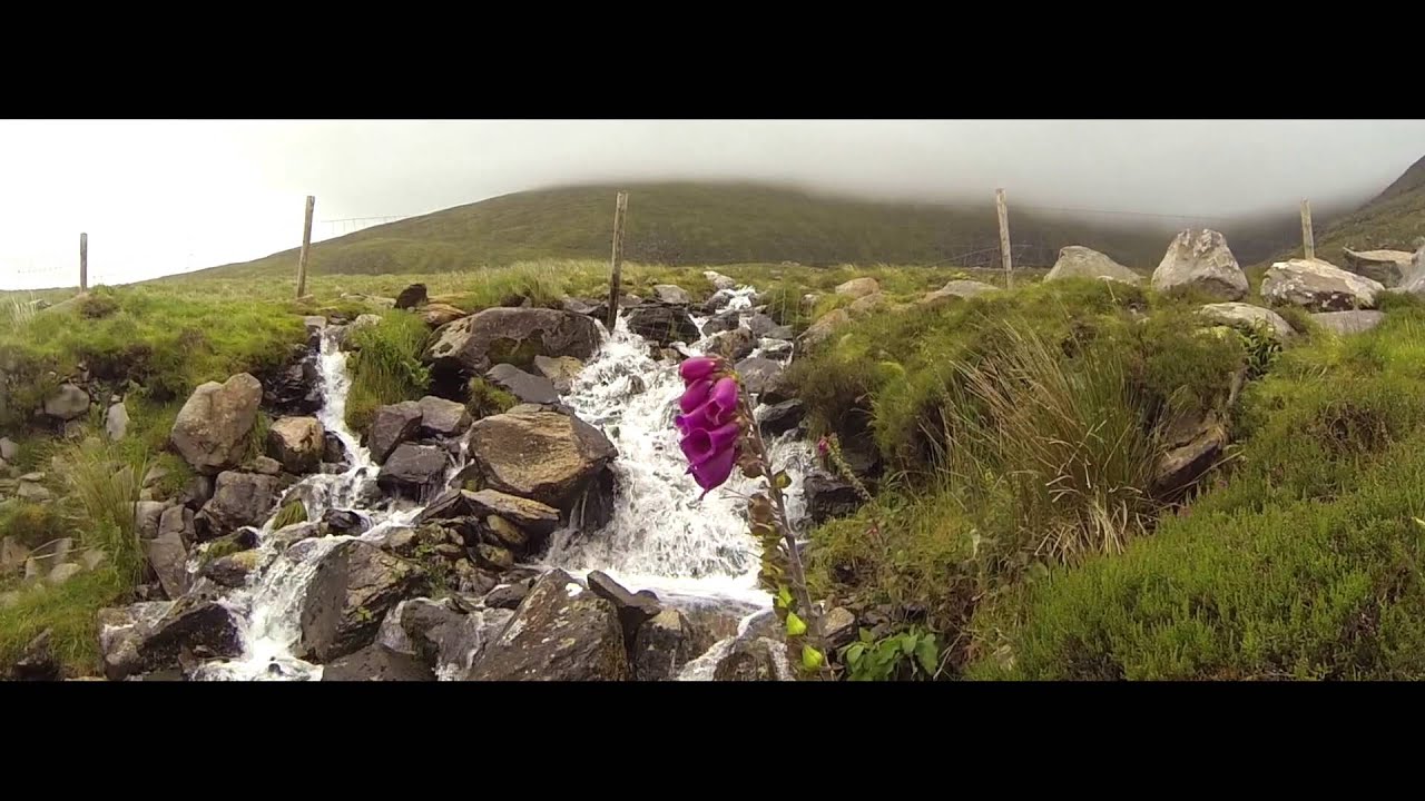 Mark Graham cycles 2500km Wild Atlantic Way route on a wooden bike