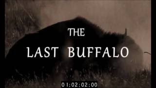 The Last Buffalo - Opening Sequence