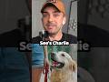 can dogs forget you exist? …SAD story time #dogshorts #quora