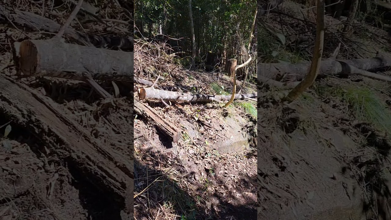 Area cleaned up nicely..