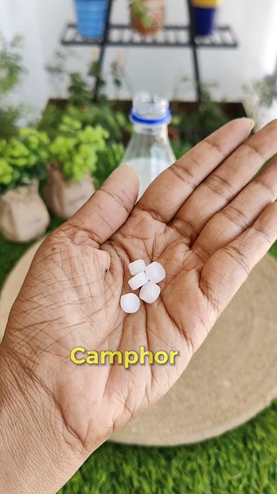 Download lagu DIY floor cleaner #homecleaning #homecleaningtips #floorcleaner #homeessentials