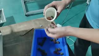 टेबलटॉप प्रकार कैप्सूल गिनती भराव screenshot 3