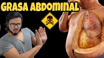 ¿Cuál es la principal causa de la grasa abdominal?