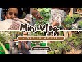 A day in my life | winter seedlings | #gardening #garden #terracegarden #viral #nursery #vlog