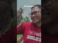 Kenalan Yuk #kenalan #kenalanyuk #kenalanyuchallenge #kenalanyukk #kenalanonline #kenalanvirtual